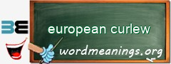 WordMeaning blackboard for european curlew